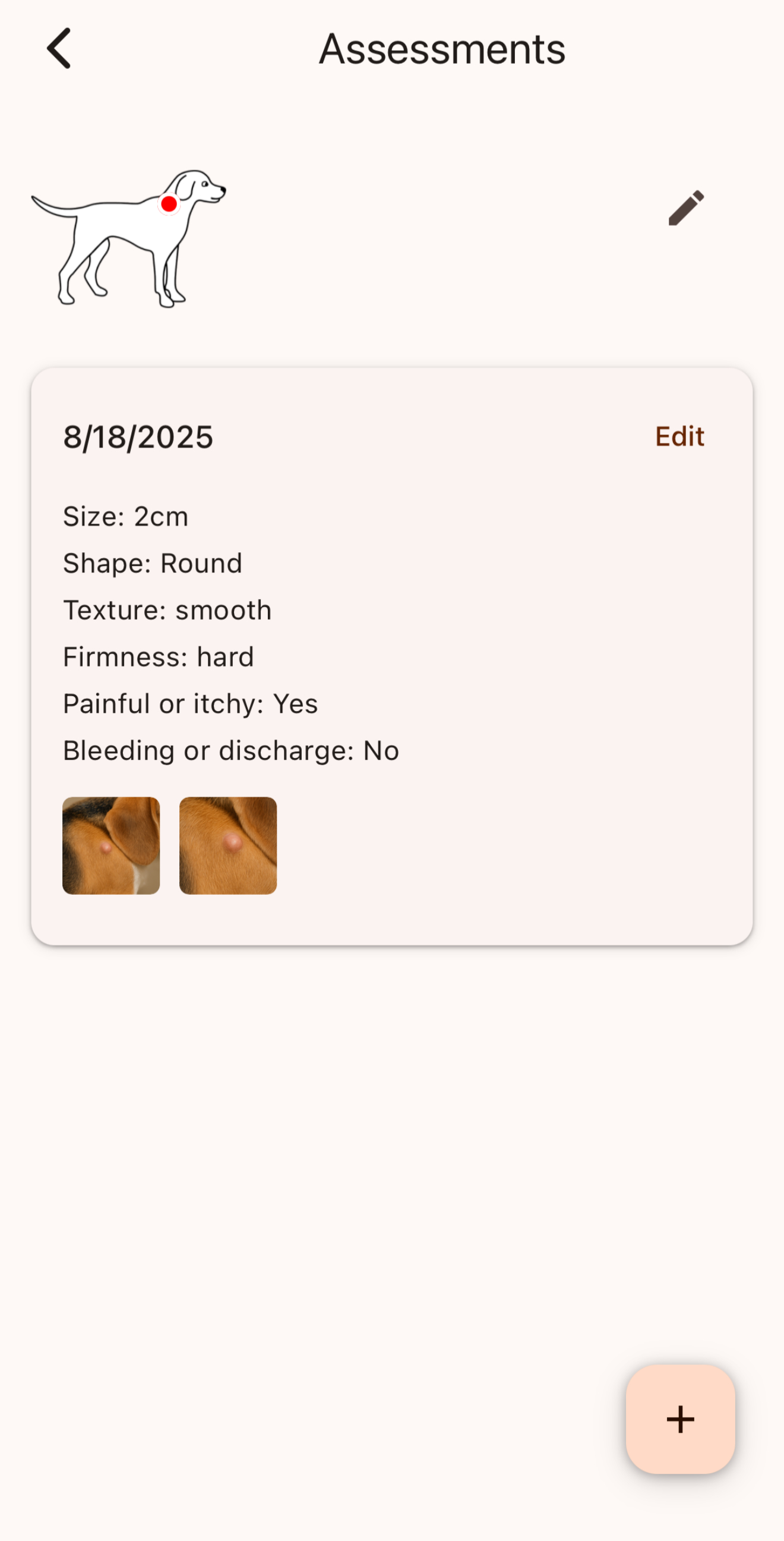 Pet Lump Tracker screenshot 4