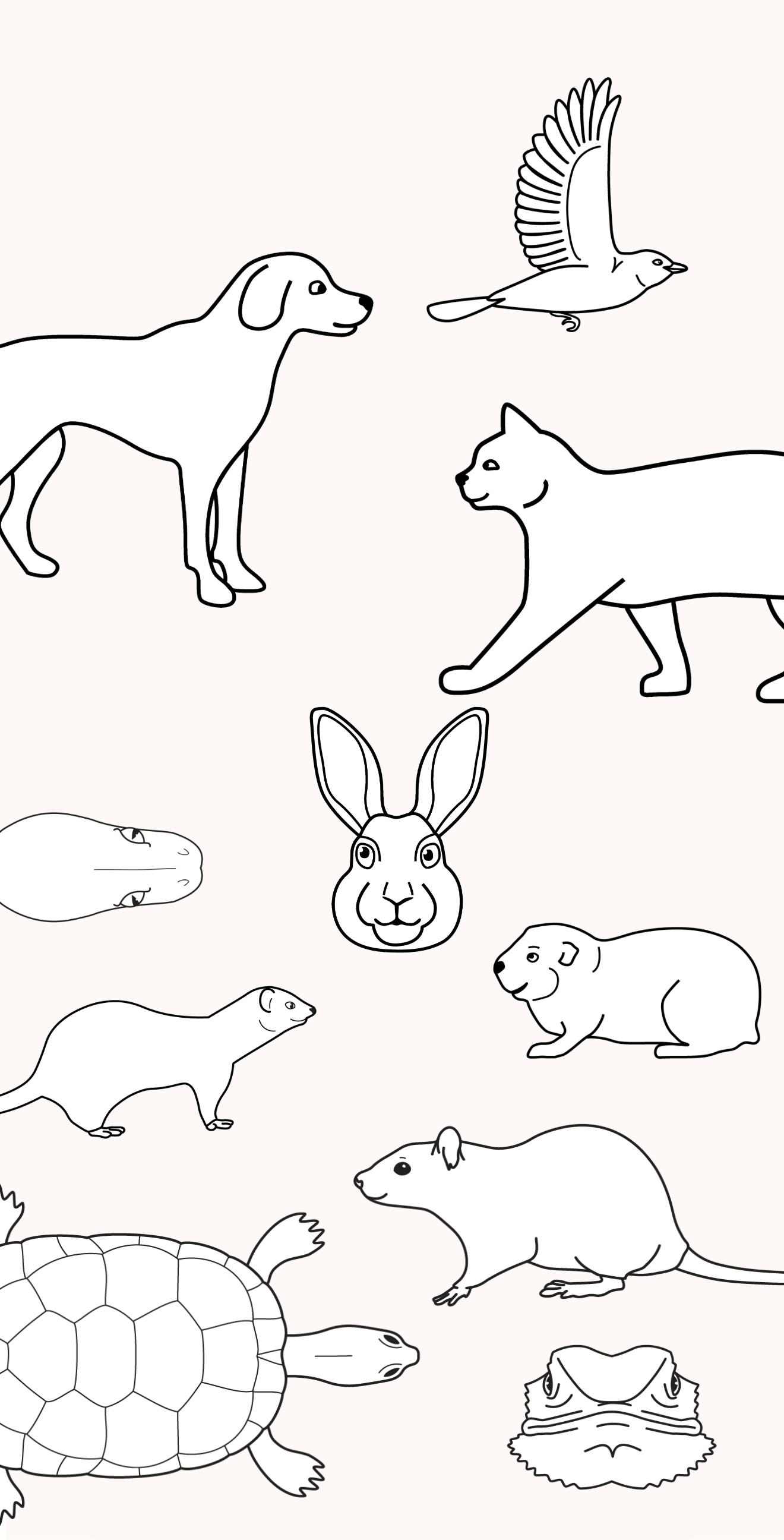 Pet Lump Tracker screenshot 6